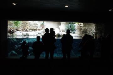 Basel Zoo